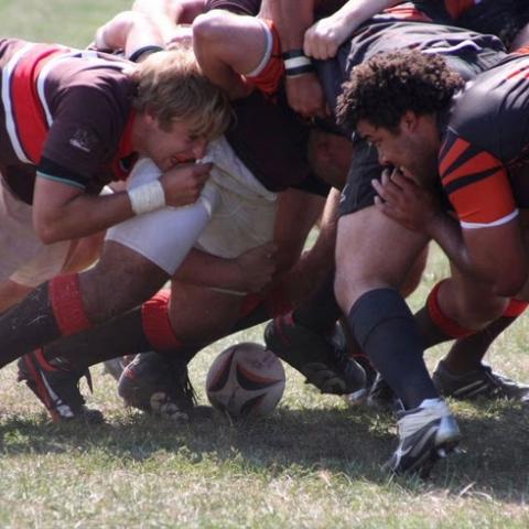 2010 Fall Brown @ Princeton