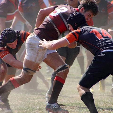 2010 Fall Brown @ Princeton