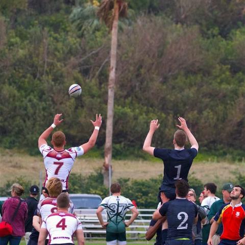 Yale Rugby