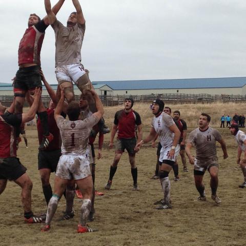 Harvard Men Beat Cornell 