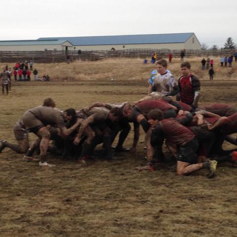 Harvard Men Beat Cornell 