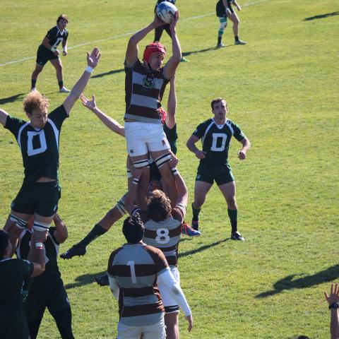 Brown controls the lineout