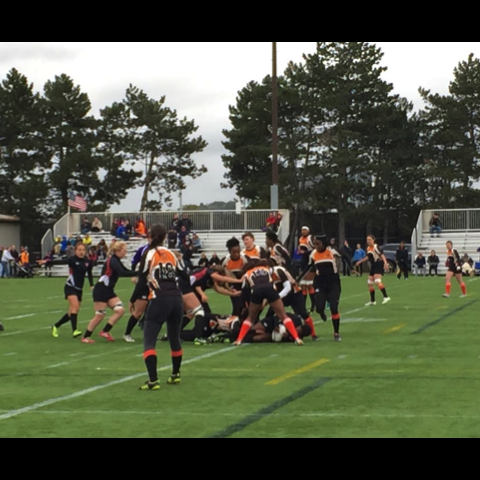 Princeton vs Harvard 10/3/15