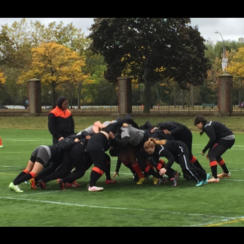 Princeton vs Harvard 10/3/15