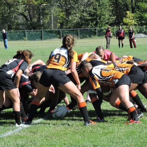 Princeton Harvard Scrum