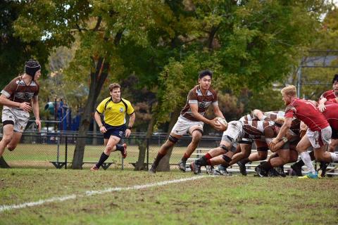 Brown attacks off the back of the scrum vs Harvard