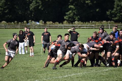 Brown defeats Princeton 43 - 0